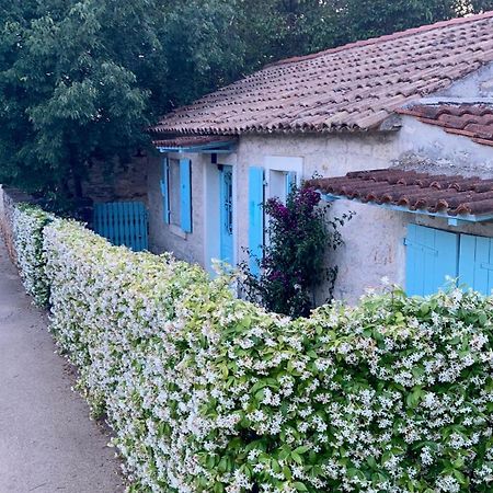 Vila Majda Tar-Vabriga Ngoại thất bức ảnh