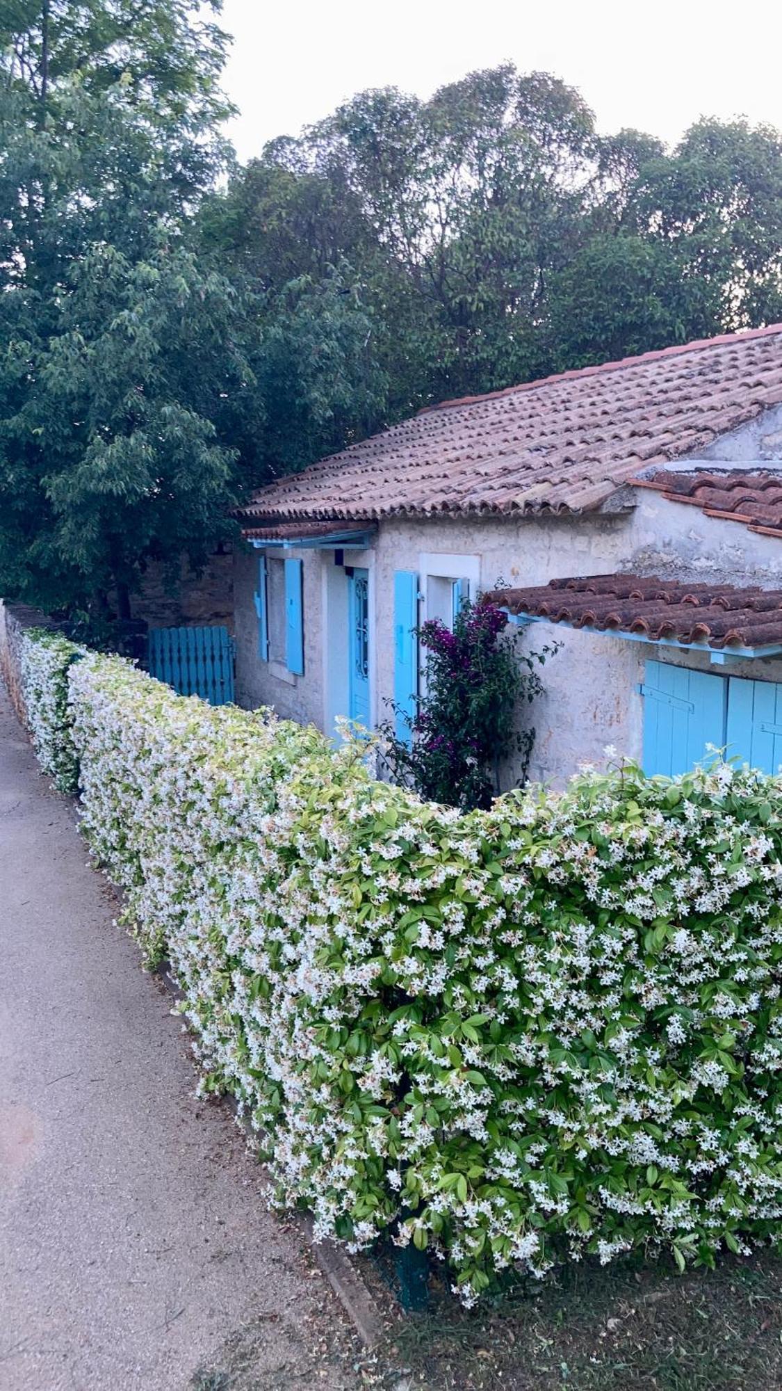 Vila Majda Tar-Vabriga Ngoại thất bức ảnh